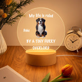 ChatGPT Image 2025年9月2日 09_22_18