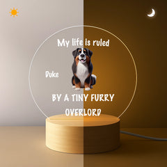 ChatGPT Image 2025年9月2日 09_46_26