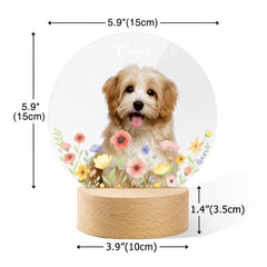 ChatGPT Image 2025年9月1日 12_03_51